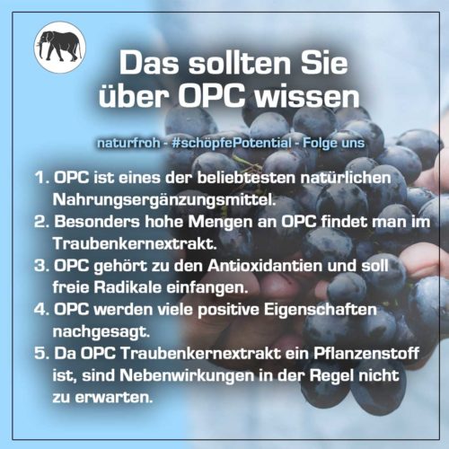 OPC Traubenkernextrakt