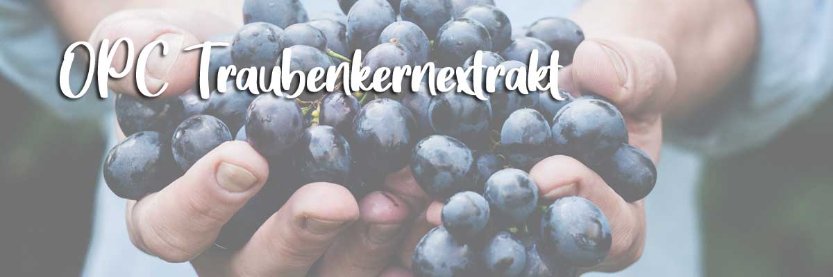 OPC Traubenkernextrakt