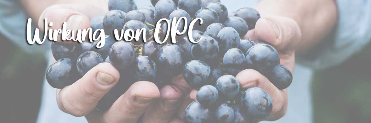 Wirkung-von-OPC wirkung von opc