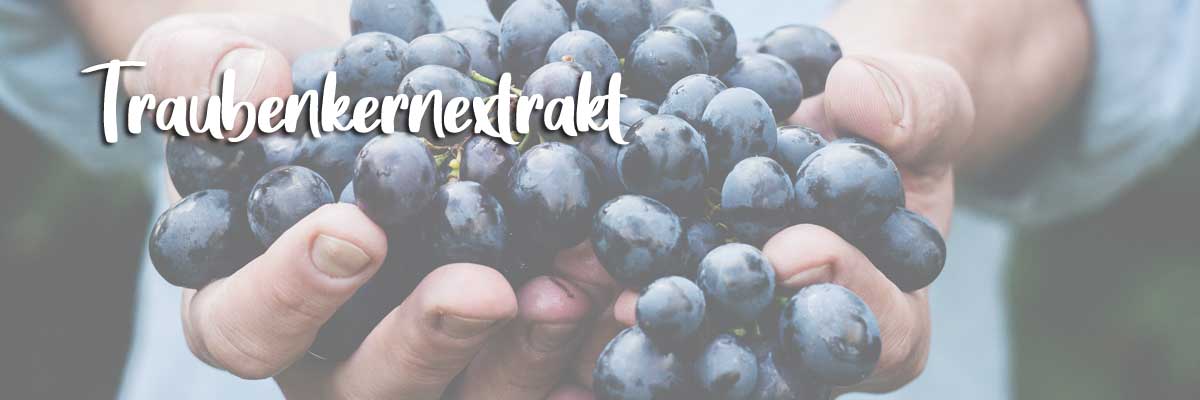 traubenkernextrakt traubenkernextrakt