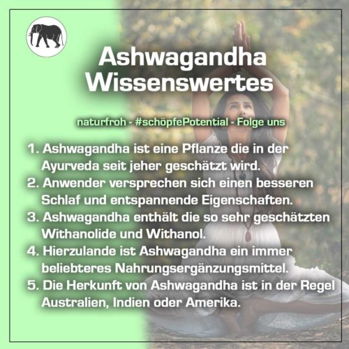 Ashwagandha-Pulver-1 Ashwagandha Pulver