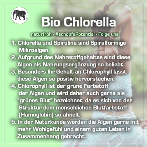 Bio-Chlorella Bio Chlorella