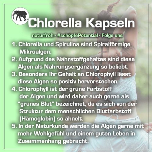 Chlorella Kapseln