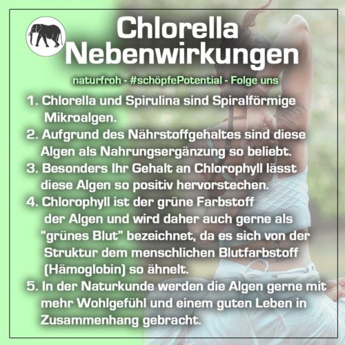 Chlorella Nebenwirkungen