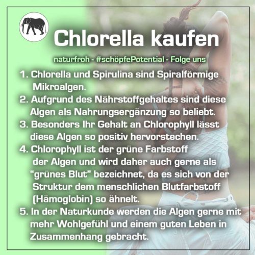 Chlorella-kaufen Chlorella kaufen