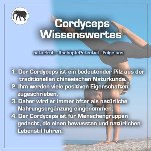 Cordyceps-Kapseln Cordyceps Kapseln