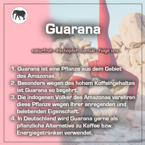 Guarana-Kapseln-1