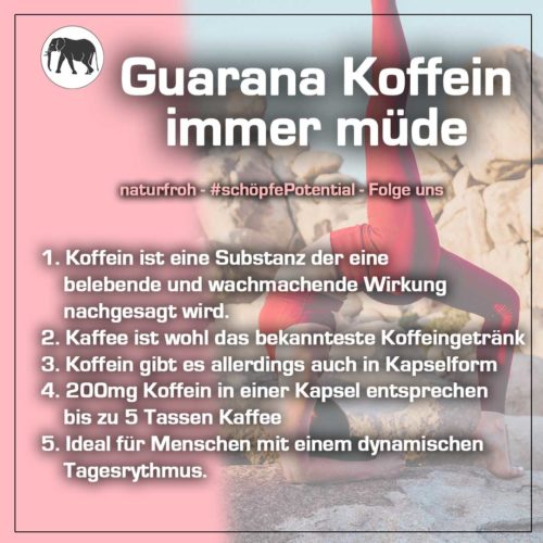 Immer-müde-sein Immer müde sein