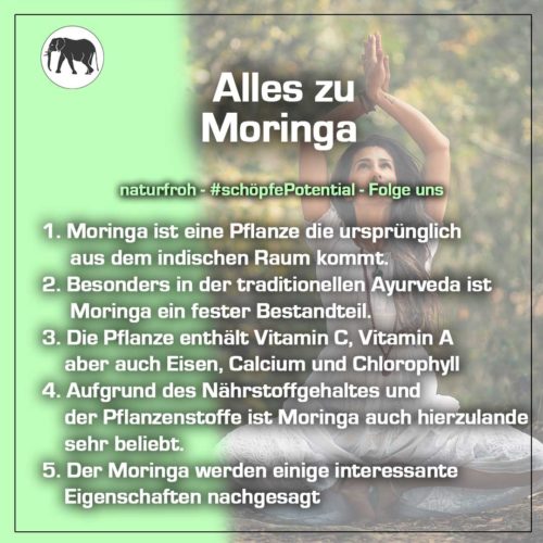 Moringa-Kapseln-1 Moringa Kapseln