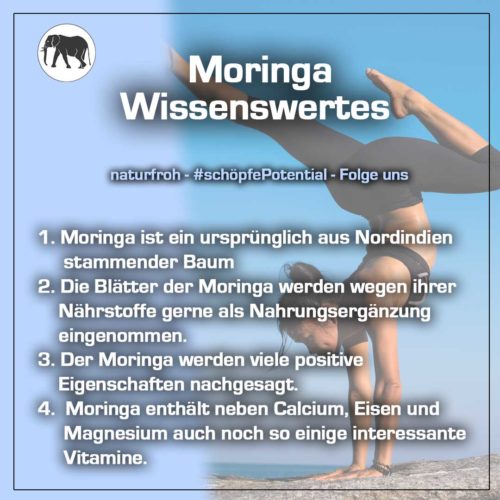 Moringa-Wirkung Moringa Wirkung