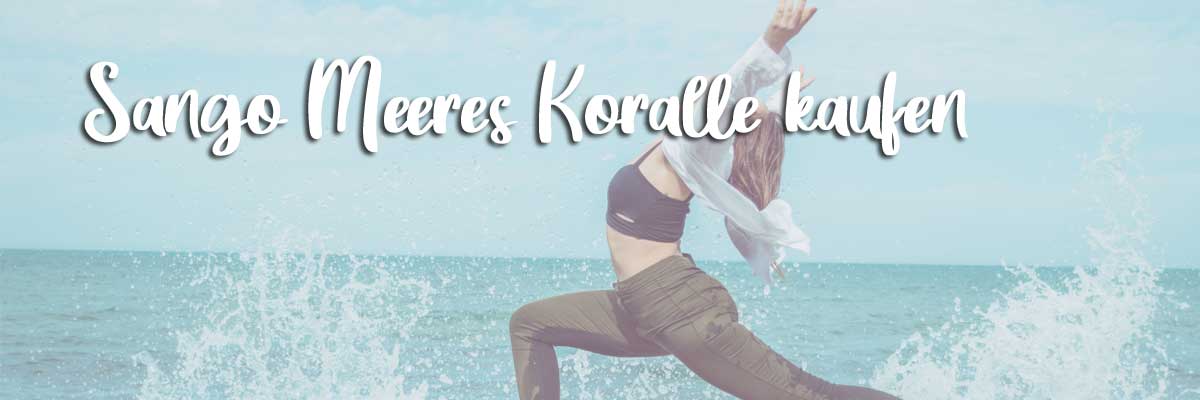 Sango-Meeres-Koralle-kaufen-1 Sango-Meeres-Koralle-kaufen