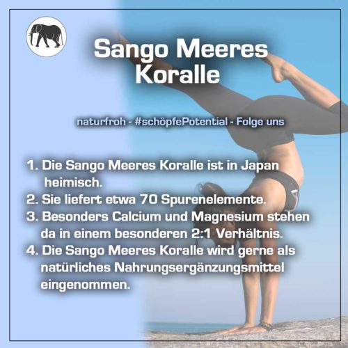 Sango-Meeres-Koralle-kaufen Sango-Meeres-Koralle-kaufen