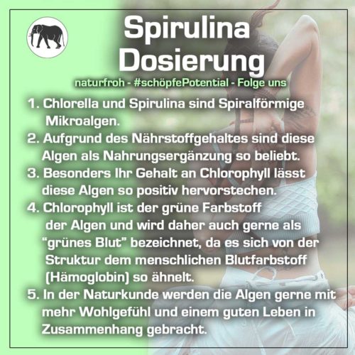 Spirulina Dosierung