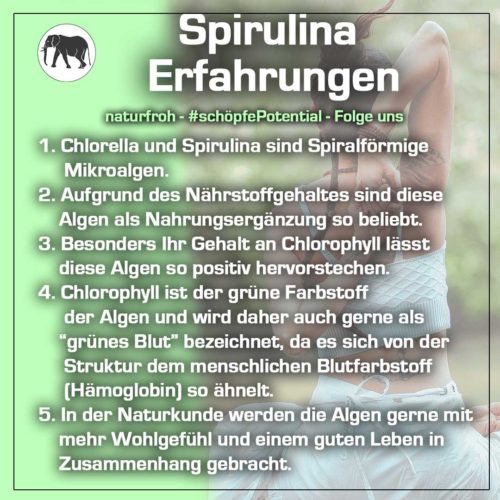 Spirulina Erfahrungen