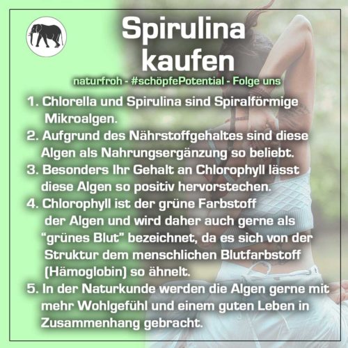 Spirulina-kaufen Spirulina kaufen