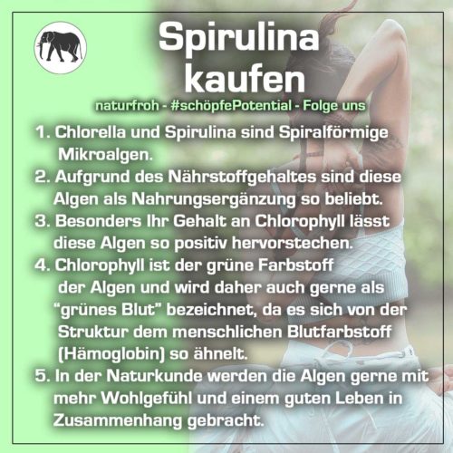 Spirulina kaufen