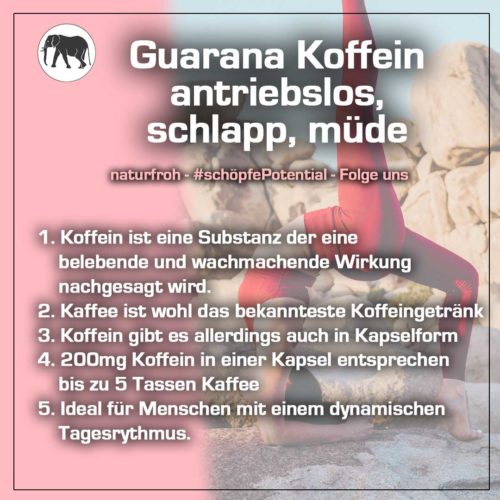 müdigkeit,schlappheit,antriebslosigkeit