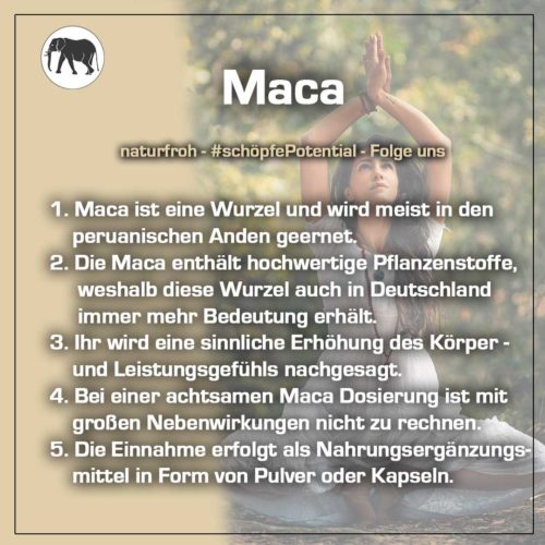 maca