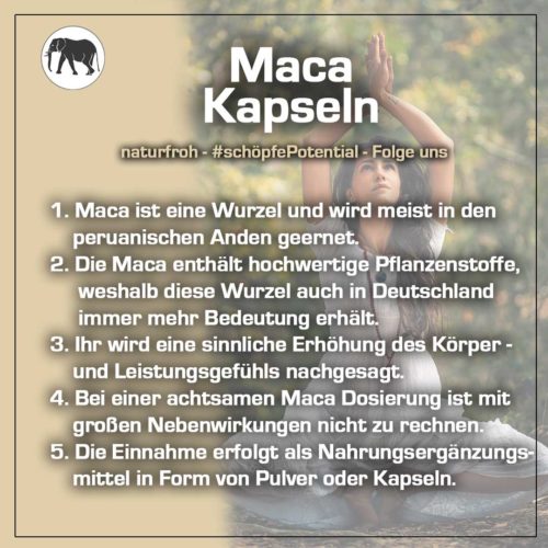 maca-Kapseln maca Kapseln
