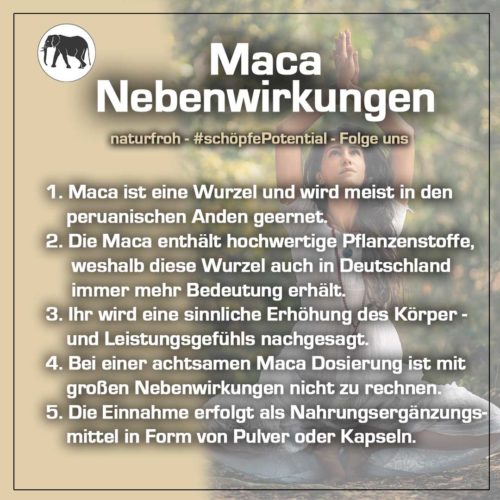 maca nebenwirkungen