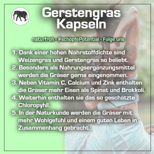 Gerstengras Kapseln