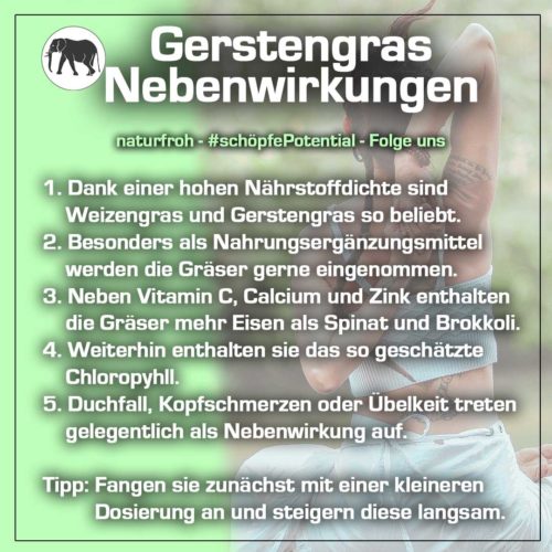 Gerstengras Nebenwirkungen