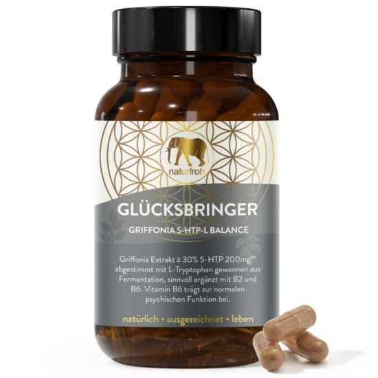 GLUeCKSBRINGER-Titelbild01 GLUeCKSBRINGER-Titelbild01