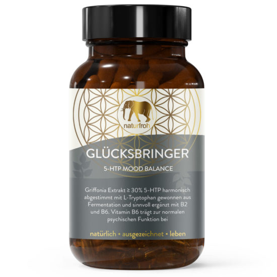 GLÜCKSBRINGER-Titelbild GLÜCKSBRINGER-Titelbild
