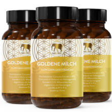 GOLDENE-MILCH-Titelbild-3