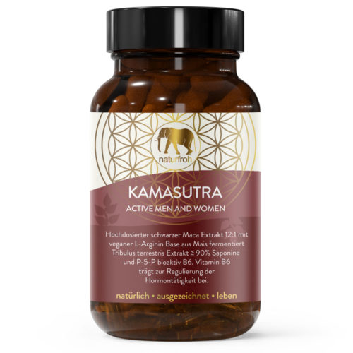 KAMASUTRA-Titelbild