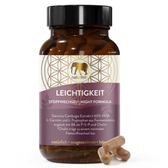 LEICHTIGKEIT-Titelbildx01 LEICHTIGKEIT-Titelbildx01