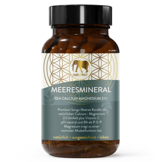 MEERESMINERAL-Titelbild MEERESMINERAL-Titelbild
