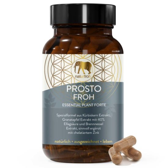 PROSTO-FROH-Titelbild1 PROSTO-FROH-Titelbild1