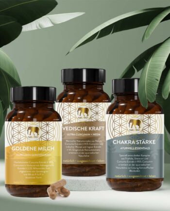 Ayurveda Kur Produkte