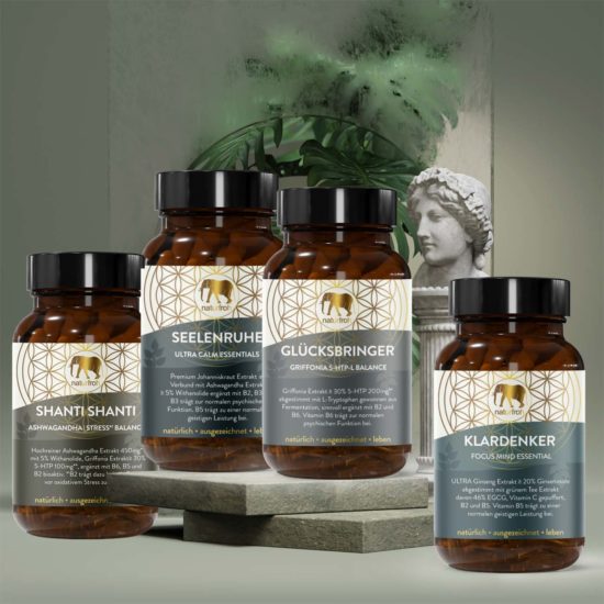 Gute-Laune-Anti-Stress-Konzentration-Paket01 Gute Laune Anti Stress Depression Paket