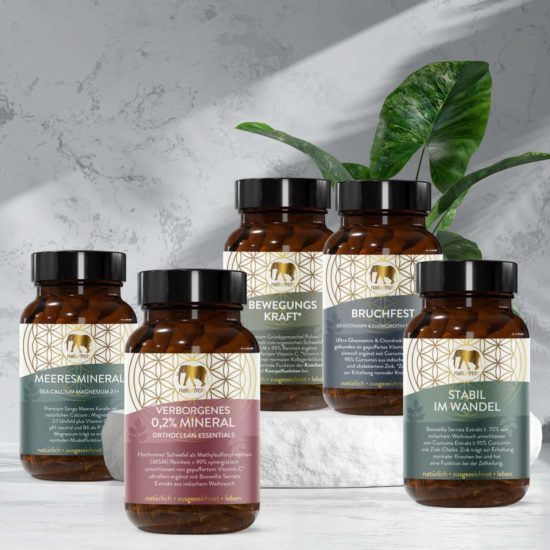 Knochen Gelenke Knorpel Paket Kur Knochen Gelenke Knorpel Paket Kur
