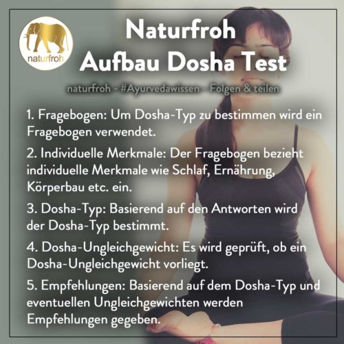 Aufbau-Ayurveda-Dosha-Test