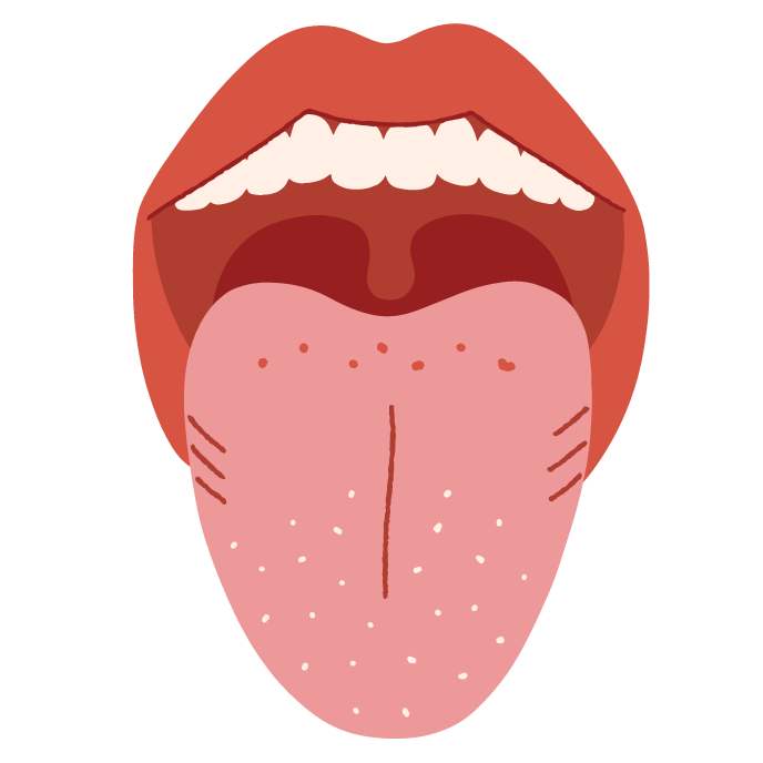 Wie sieht deine Zunge ungefähr aus?